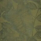 Canna - Vert mousse _ jaune